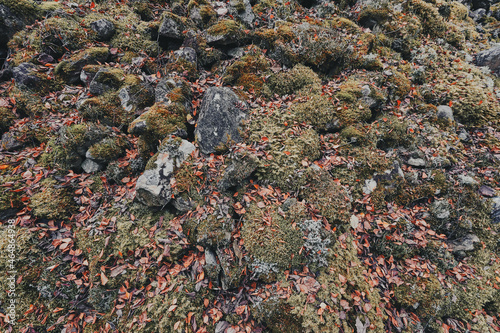 Moss-grown stone mound on the valley side of the Olterudelva river, Toten, Norway. photo