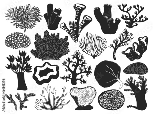 Sea coral vector illustration on white background. Vector black set icon seaweed. Isolated black set icon sea coral.