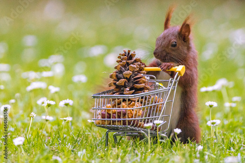 easter bunny with basket