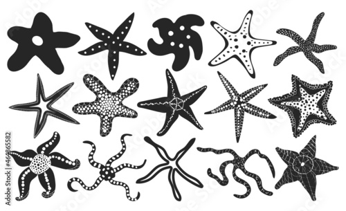 Sea starfish vector black set icon. Vector illustration marine star on white background. Isolated black set icon sea starfish. photo