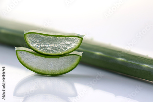 Aloe vera on a white background. Herb for the treatment and care of the skin. Spa and cosmetology. Moisturizing gel.