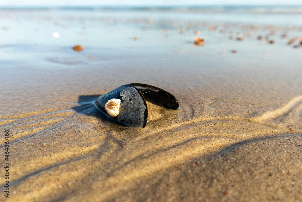 Obraz premium Looking to you