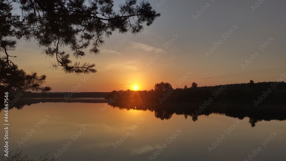 Obraz premium Pine branches overhang the river. The sun rose over the forest on the opposite bank of the river. The sky and the forest are reflected in the calm water of the river