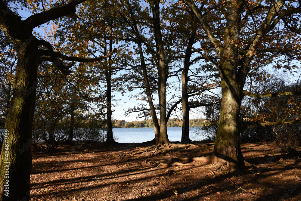 Fototapeta premium Seelandschaft im Herbst
