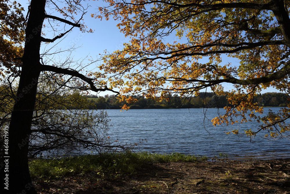 Obraz premium Seelandschaft im Herbst