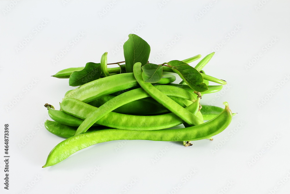 canavalia gladiata or knife beans,jack bean isolated on white background canavalia gladiata or knife beans,jack bean isolated on white background