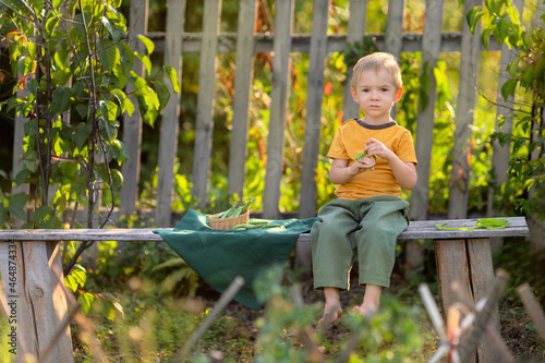 Life in the village.A boy is sitting on a wooden bench © IrinaStrelnikova
