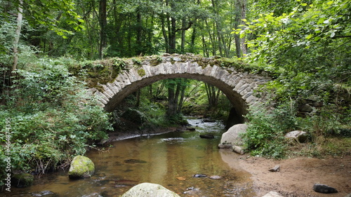Foto Vieux pont en pierre au millieu d'une foret