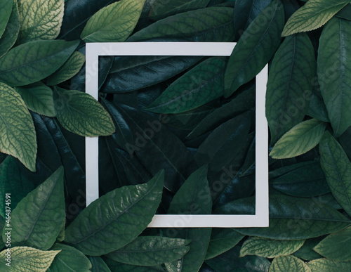 Creative layout made of leaves with paper frame. Flat lay. Nature concept.