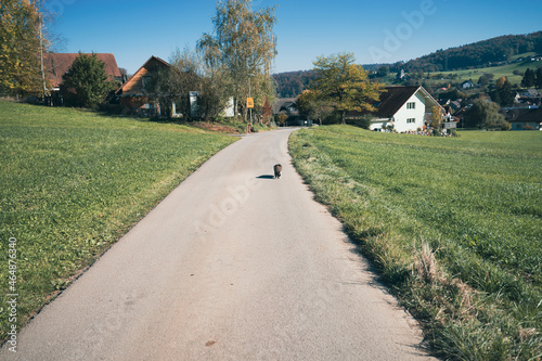 Amazing hiking through Region Wasserfallen in Baselland in Switzerland. Waldenburg, Liestal, Bubendorf, Sissach are the important hiking places in this part of Switzerland