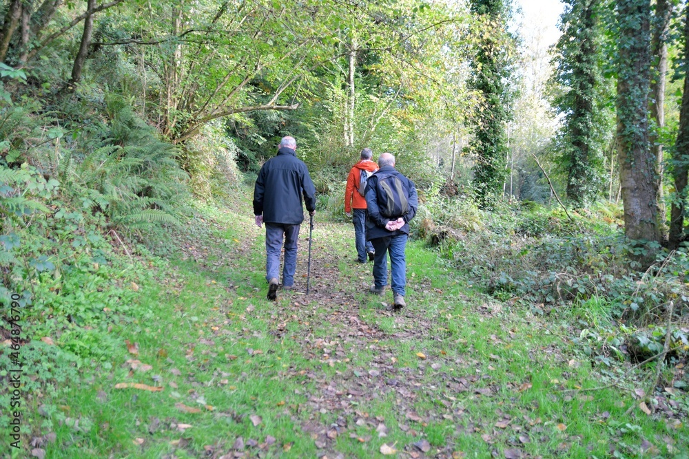 senior hikers on a path in Brittany France senior hikers on a path in Brittany France