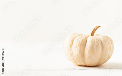 White pumpkin isolated on the white background. Halloween background with copy space