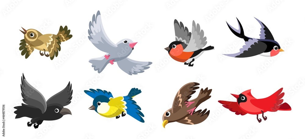 Cheerful flying birds Cheerful flying birds