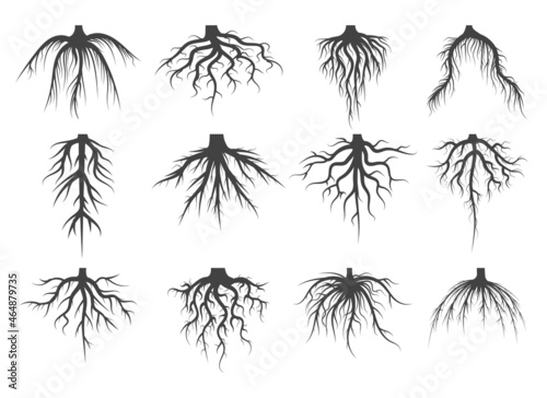 Tree roots sketch