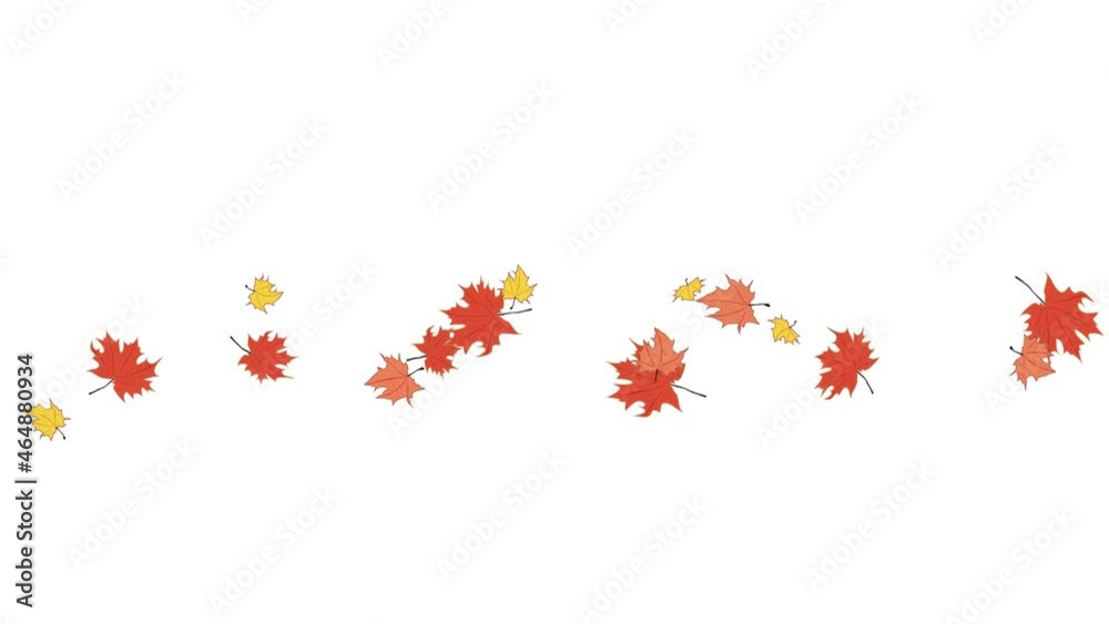 Falling autumn maple leaves Falling autumn maple leaves