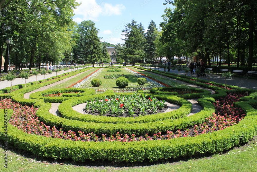 flowerbed