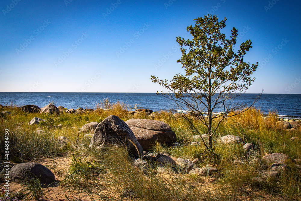 landscape with sea and rocks, latvia, latvian coast, kurmrags, baltics, baltic countries, baltic sea, europe