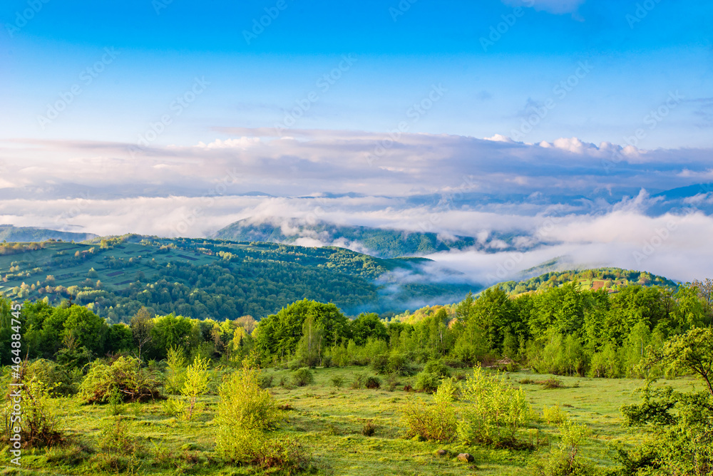 the field is covered with grass and bushes against the background of the mountains in the fog in the morning. the field is covered with grass and bushes against the background of the mountains in the fog in the morning.