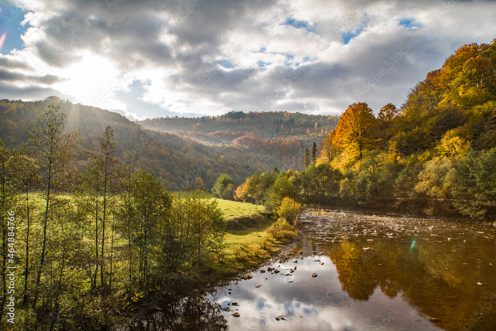 Obraz premium The mountain river near the forest in the autumn season. Morning in the mountains. Autumn yellow trees.