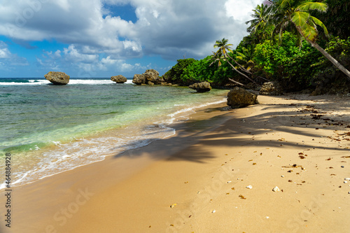 Fototapeta Naklejka Na Ścianę i Meble -  Caribbean beach with beautiful blue water  and some fluffy white clouds