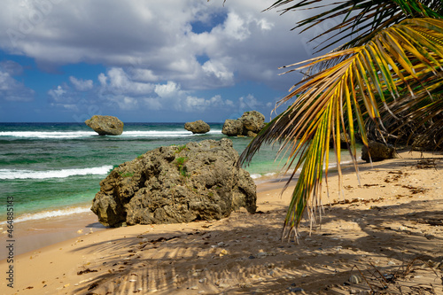 Fototapeta Naklejka Na Ścianę i Meble -  Caribbean beach with beautiful blue water  and some fluffy white clouds