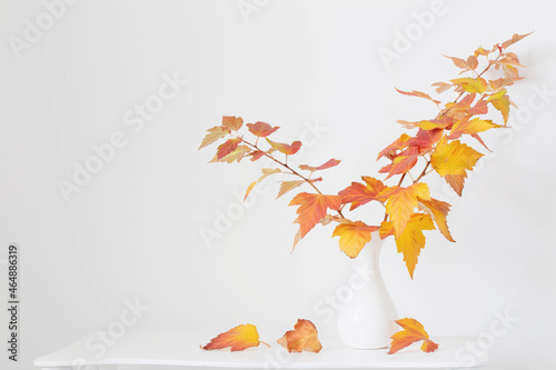 autumn bouquet in white vase on wooden shelf  in white interior