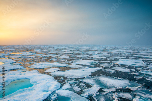 Print op canvas Arctic Ocean Sea Ice