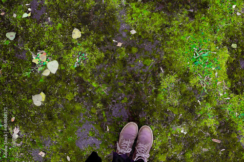 Person in brown hiking boots standing on green moss-covered ground