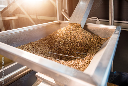 Fotografia The technological process of grinding malt seeds at the mill