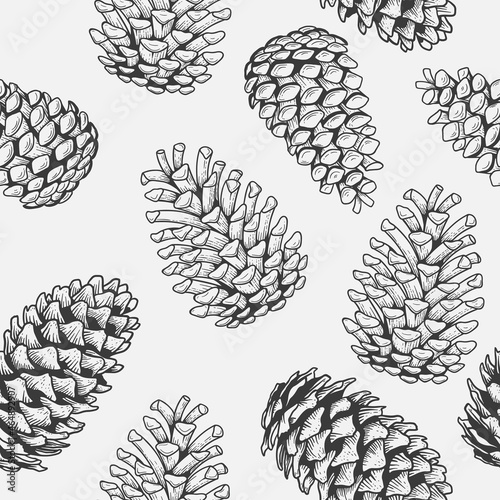 Pine cone seamless pattern sketch