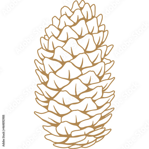 golden pine cone engraving Isolated
