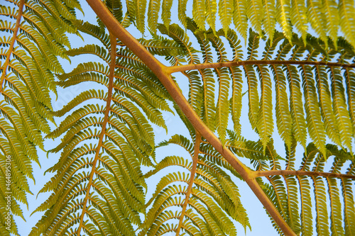 Kunterli Art - This is Nature