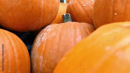 pumpkin on a wooden table