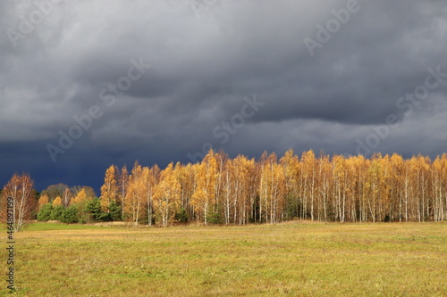 Dramatic dark blue sky scenery. Deep dark landscape. Evening sunlight through the dark blue sky after the storm. . Dark dramatic sky and the forest scenery