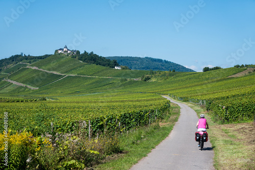 Moselradweg in den Weinbergen