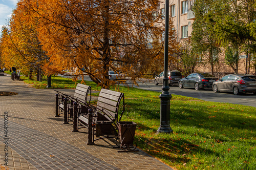 Benches on the boulevard! © Viktor