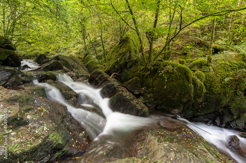 Fototapeta Naklejka Na Ścianę i Meble -  Long exposure of a waterfall on the Hoar Oak Water river flowing through the woods at Watersmeet in Exmoor National Park