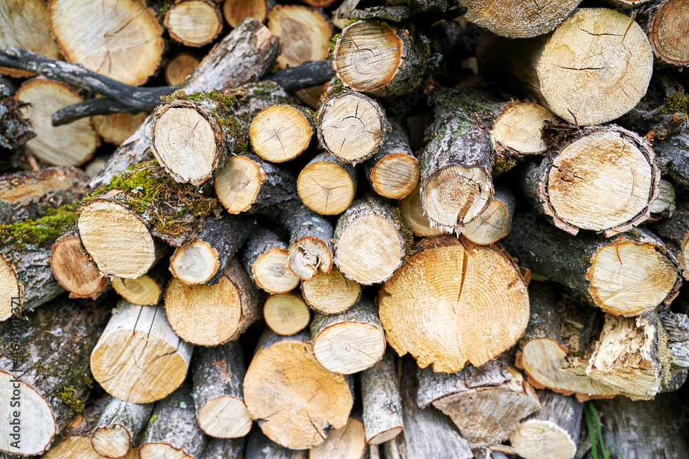 Wood chop stove. Woodpile texture background. Trees store. Hardwood pile stack. Wooden biomass wall. Split forest. Agriculture work. Round shape