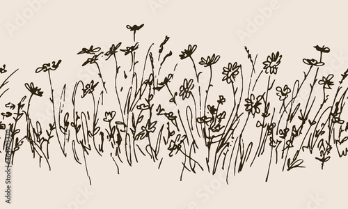 Vector seamless background with hand drawn field grass and flowers © Regina Bilan
