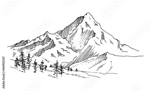 Hand drawn vector landscape with mountains  trees and mountains valley. Perfect for banner  poster and sticker design. 