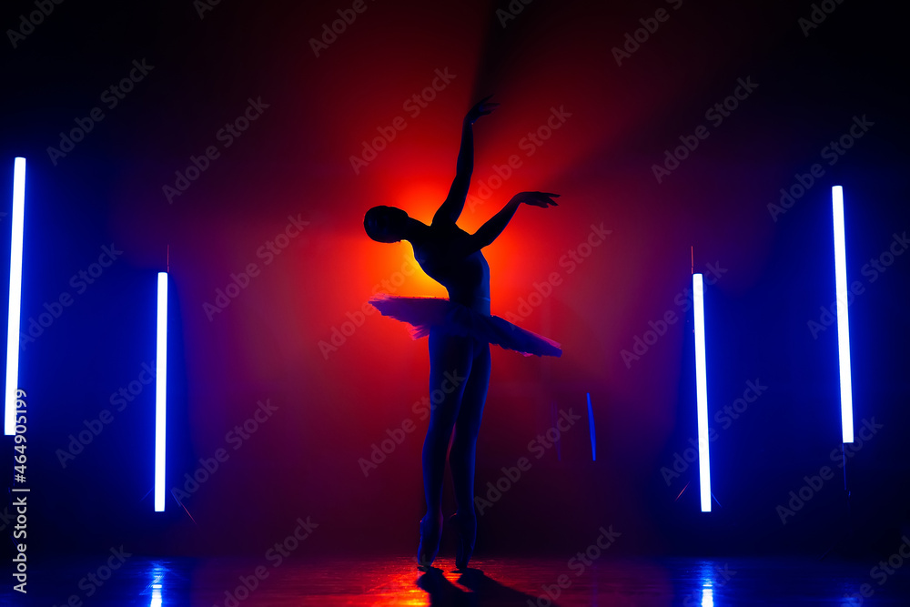 Solhouette of ballerina is practicing elements in studio with neon colorful light. Young woman dancing in classic tutu dress. Gracefulness and tenderness in every movement. Solhouette of ballerina is practicing elements in studio with neon colorful light. Young woman dancing in classic tutu dress. Gracefulness and tenderness in every movement.