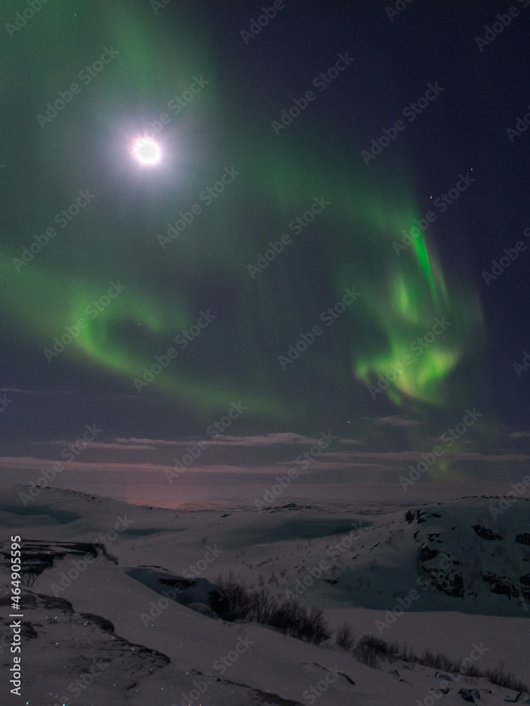 In winter, the moon and the aurora borealis are in the sky.