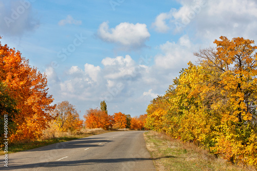 Autumnal orange and yellow foliage of roadside trees flank the old tarmac road.