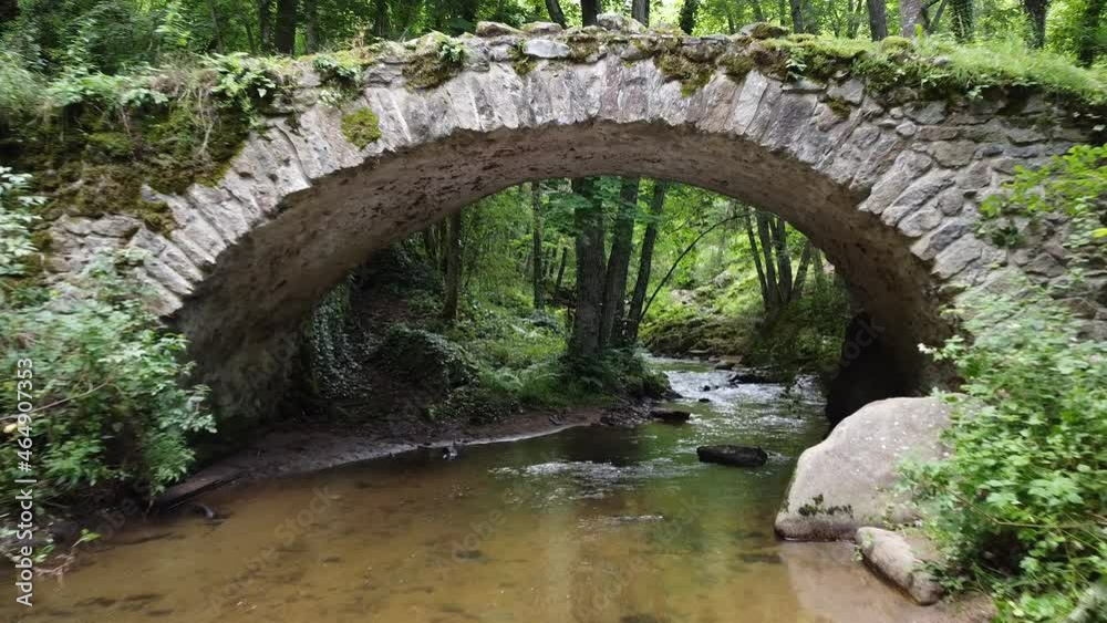 vieux-pont-en-pierre-au-milieu-de-la-foret-stock-video-adobe-stock