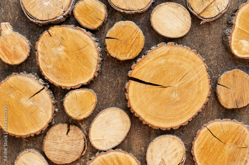 Texture square wooden bars . background of a tree. Wood Texture, Wooden Plank Background. Texture square wooden bars . background of a tree. Wood Texture, Wooden Plank Background.
