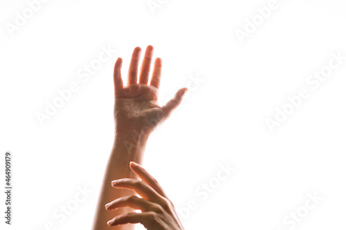 Hand gestures. Elegant female hands reach up, isolated on white, photo