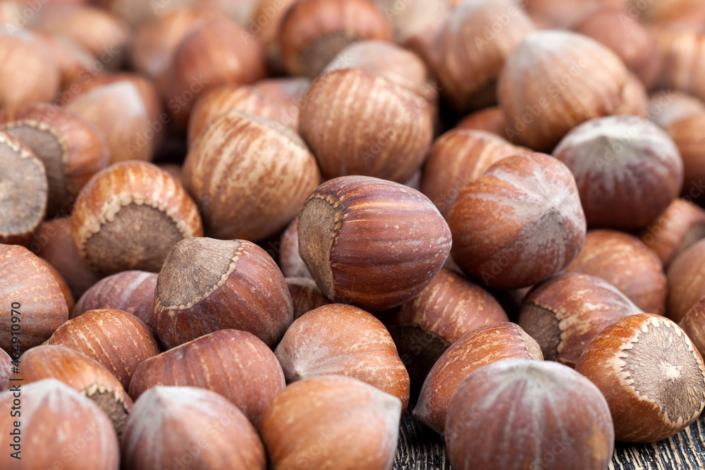 whole hazelnuts on a wooden table,in shell whole hazelnuts on a wooden table,in shell