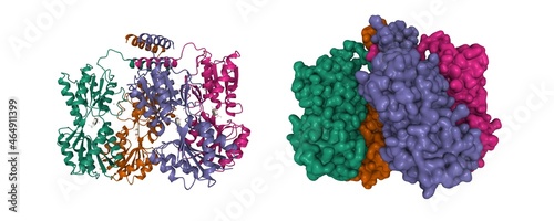Photos Structure of E