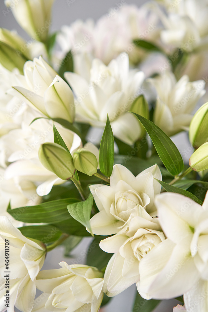 white and pink peony lily in vase. Tender flower petals close up. Natural flower backdrop. Beautiful floral greeting card white and pink peony lily in vase. Tender flower petals close up. Natural flower backdrop. Beautiful floral greeting card
