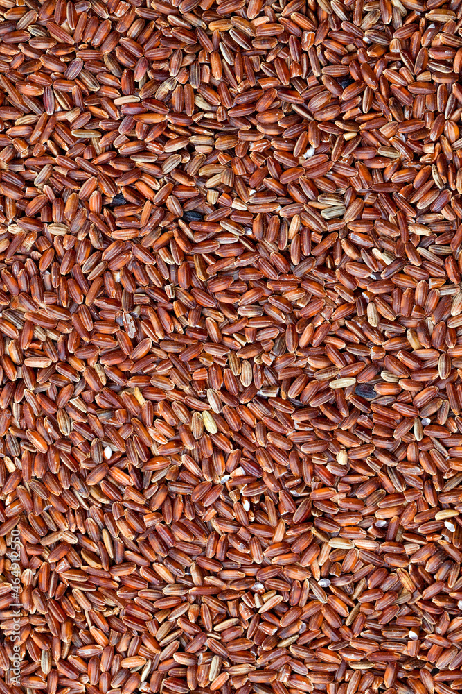 raw uncooked red rice, unpeeled